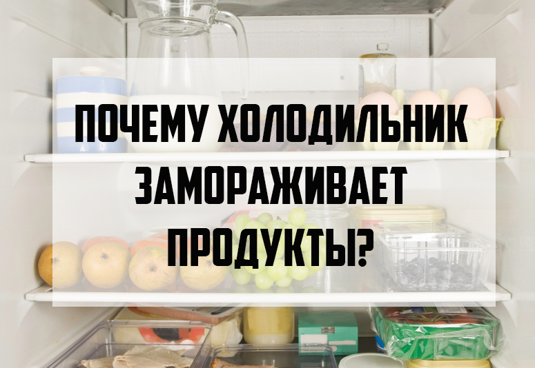 Почему холодильник замораживает продукты? Можно ли самому с этим справиться?